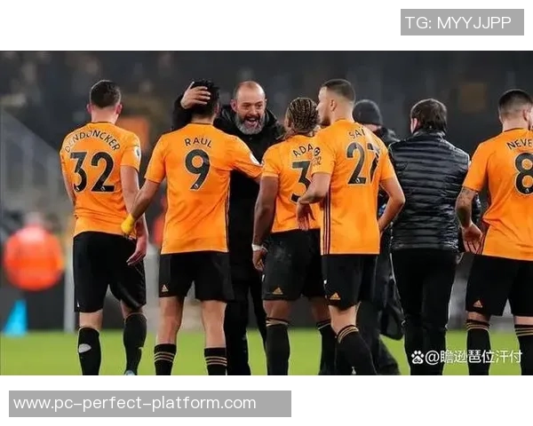 奥林匹克对决狼队激情碰撞揭示足球战术新风潮